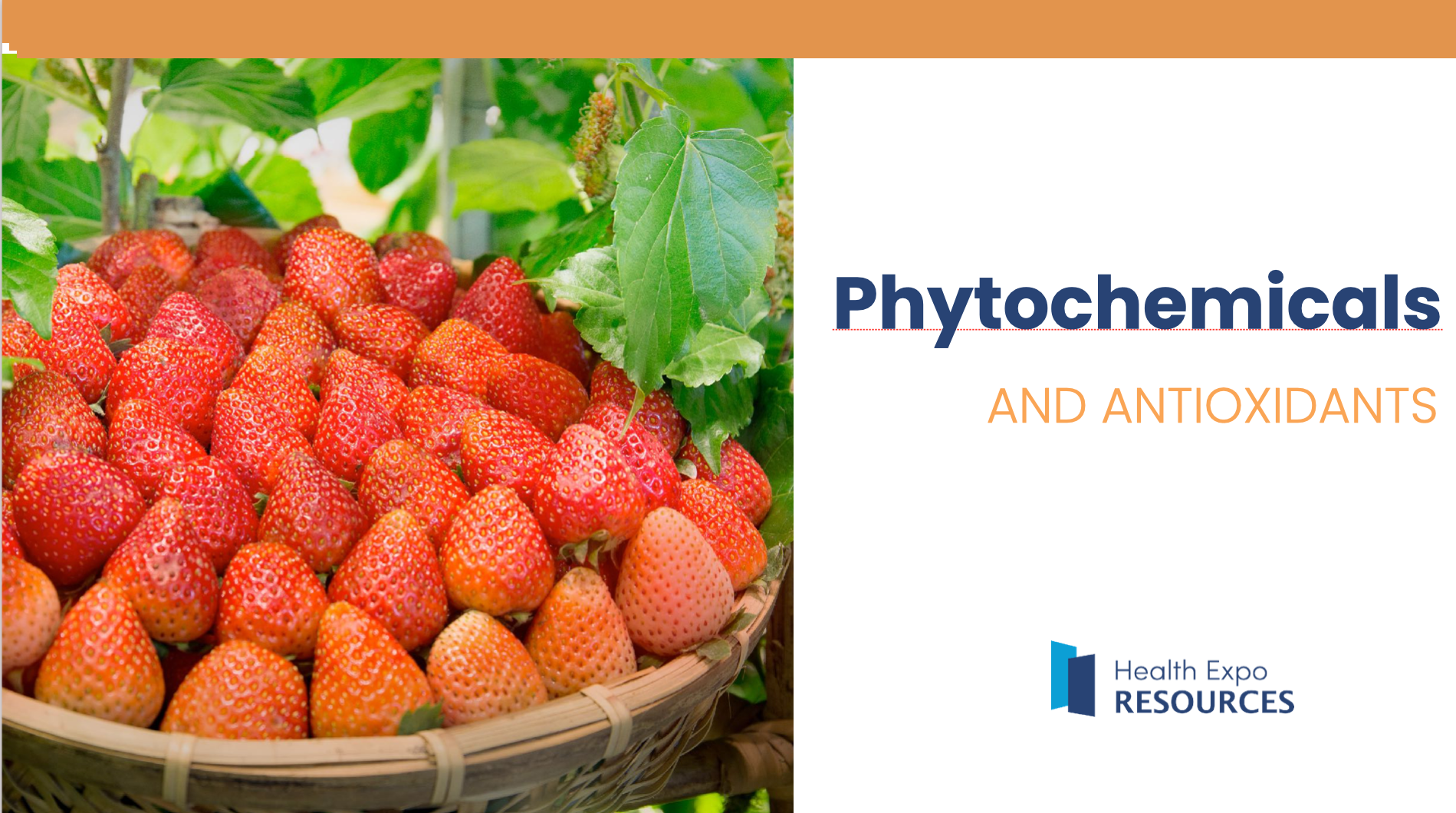Phytochemicals