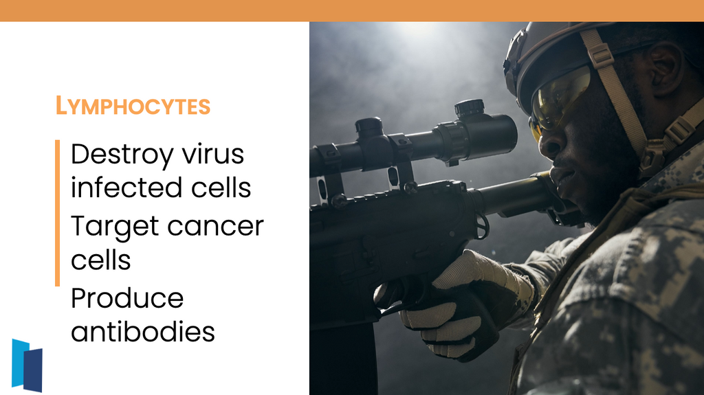 Immune System