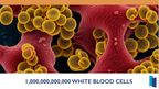 Immune System
